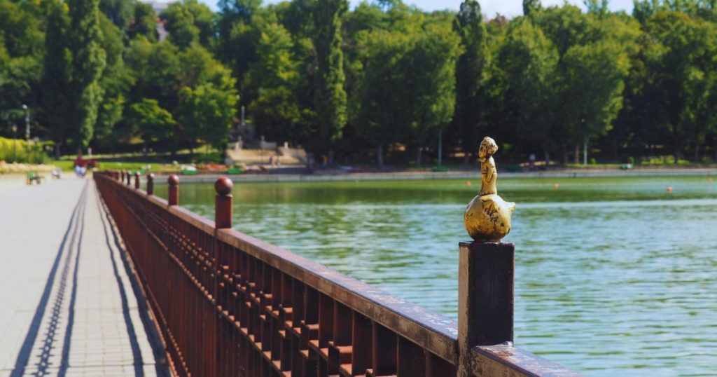 the-little-prince-is-the-cutest-thing-you-will-see-in-moldova