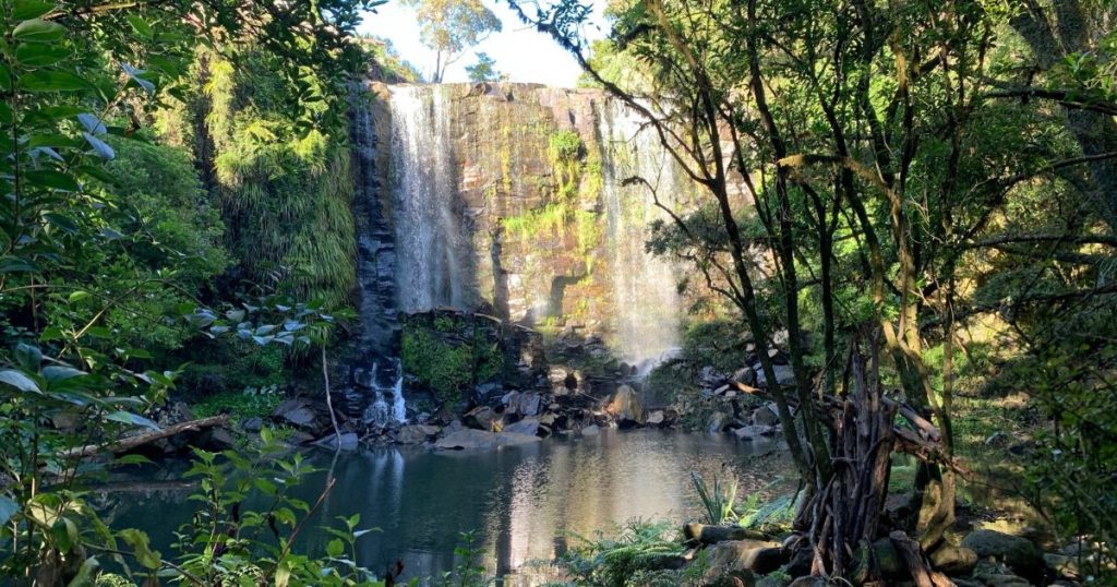 Te-Wairere-Falls-in-Kerikeri-Bay-of-Islands-New-Zealand